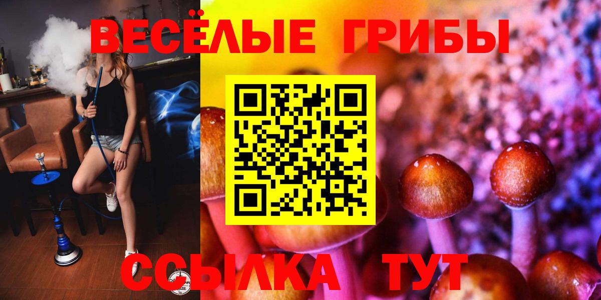 наркотики  Псилоцибиновые грибы ЛСД  Вход с VPN  Вольск 